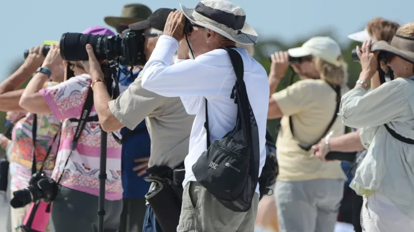 Bird watching tour at Bunche Beach