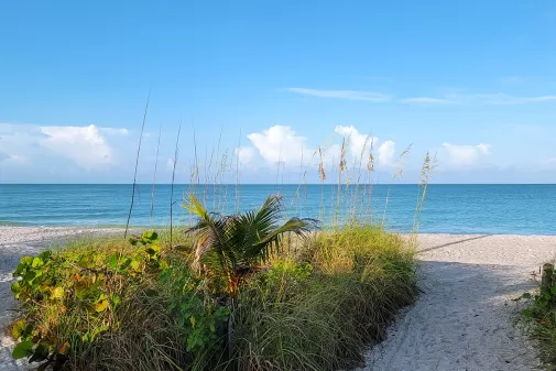 Two sandy beach paths leading to gulf