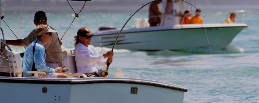 People fishing on a beautiful day