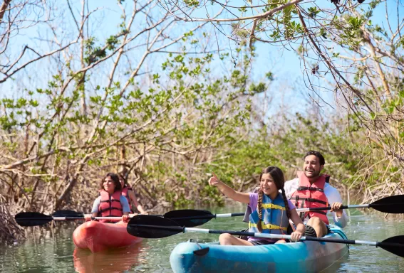 Family kayaking